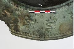 Foto von Bronzebreitrandfußschale (NHMW-PRAE-024138)